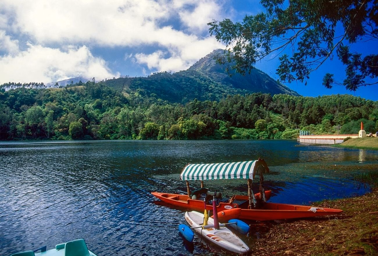 Munnar Local Sightseeing